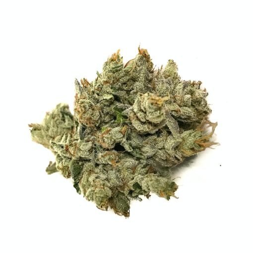 186972_kushco_-_og_kush__1_-510x510-1.jpg OG Kush Strain (Kush Weed) - Image 1