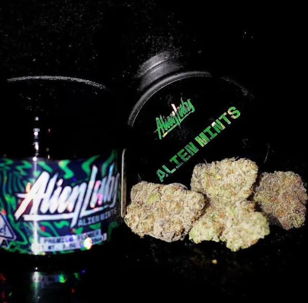 ALIEN-MINTS-BY-ALIEN-LAB-1.webp ALIEN MINTS STRAIN - Image 1