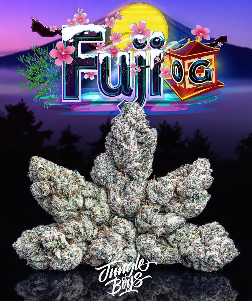 FUJI.webp FUJI STRAIN - Image 1