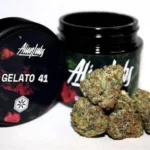 ALIEN LABS GELATO 41