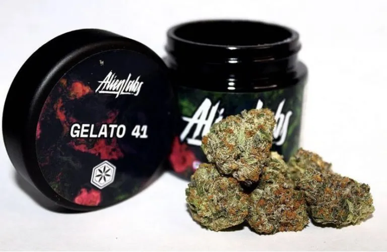 GELATO-41-ALIEN-LABS.webp ALIEN LABS GELATO 41 - Image 1