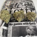 BLUE GOTTI STRAIN