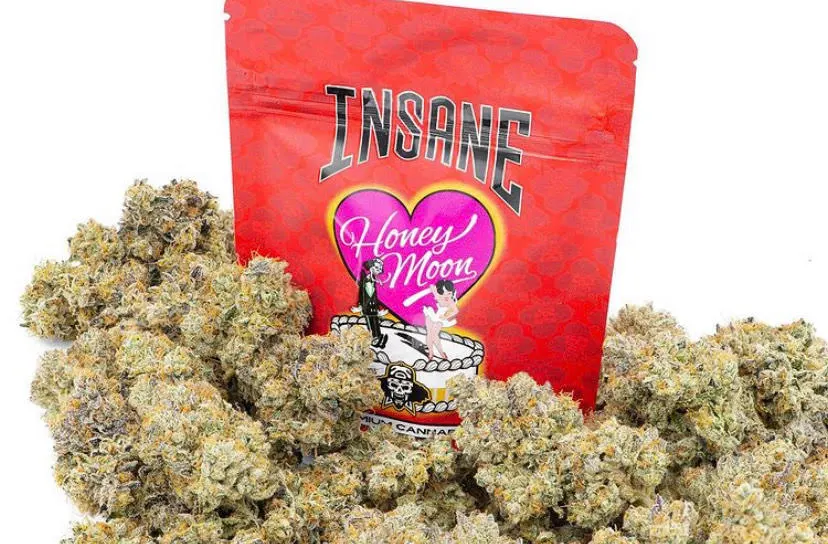 HONEY-MOON-ISANE.webp HONEY MOON ISANE - Image 1