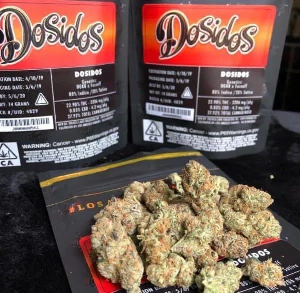 IMG-6324-1.webp DOSIDOS STRAIN - Image 1