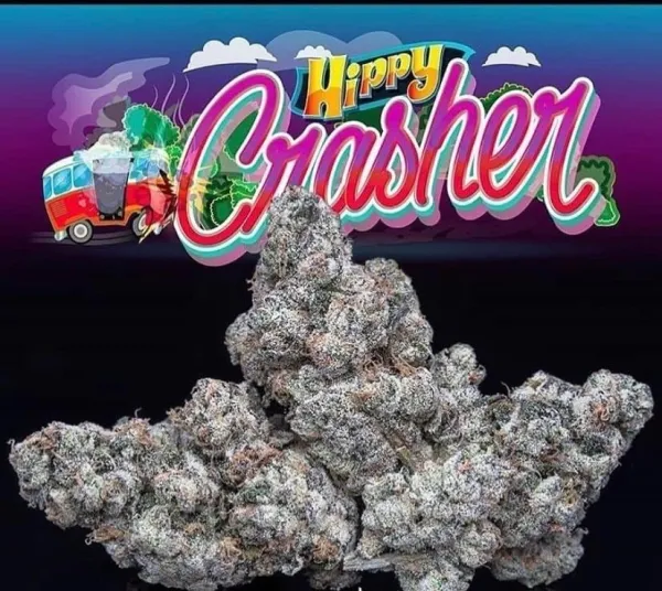 IMG-6331.webp WEDDING CRASHER STRAIN - Image 1