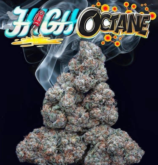 IMG-6337.webp HIGH OCTANE STRAIN - Image 1