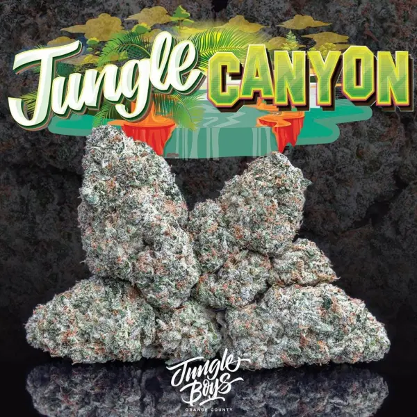 JUNGLE-CANYON.webp TOPANGA CANYON STRAIN - Image 1