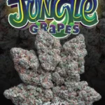 MODIFIED GRAPES STRAIN