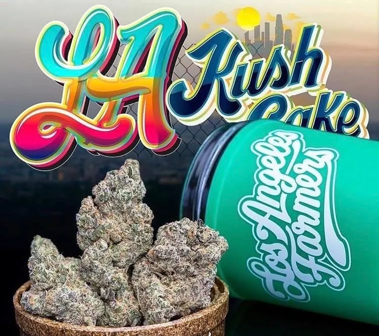 LA-KUSH-CAKE-JUNGLEBOYS.webp LA KUSH CAKE STRAIN - Image 1