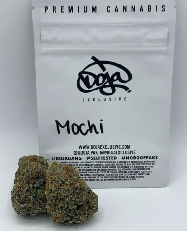MOCHI-DOJA.webp MOCHI DOJA - Image 1