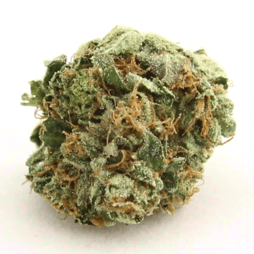 ak-47-strain-510x510-1.png AK 47 Strain (AK47 Weed) - Image 1