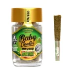 BABY JEETER INFUSED PRE-ROLLS – HONEYDEW