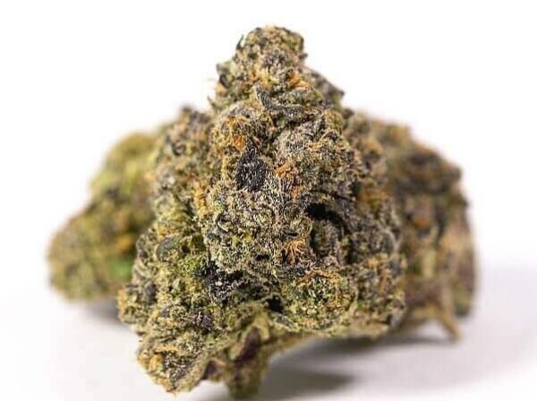 backpackboyz420-20200729-0011-600x448-1.jpg SFV OG Kush Strain On Sale Now - Image 1