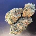 Buy Blue Dream Strain