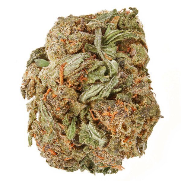 buy-purple-haze-strain-600x600-1.jpg Buy Purple Haze Strain - Image 1