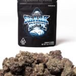 Shark Bite strain