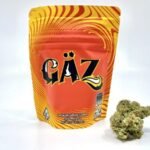 GÄZ – Seven Leaves