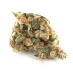 Girl Scout Cookies Strain