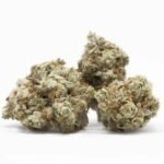 Buy Gorilla Cookies Strain