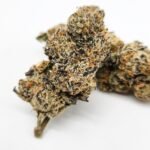 Platinum Lemon Cherry Gelato- 3.5G