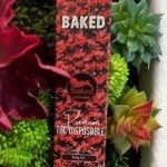 BAKED- Premium THC Oil 2g Disposable- KING TUT