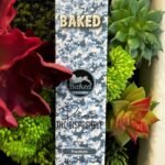 BAKED- Premium THC Oil 2g Disposable- FROSTBITE
