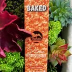 BAKED- Premium THC Oil 2g Disposable- FRENCH COOKIES