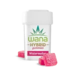 WATERMELON (REC) // HYBRID
