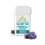 BLUEBERRY LEMONADE (HIGH-DOSE MED) // INDICA