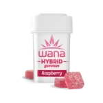 RASPBERRY (REC) // HYBRID