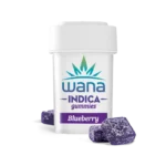 BLUEBERRY (MED) // INDICA