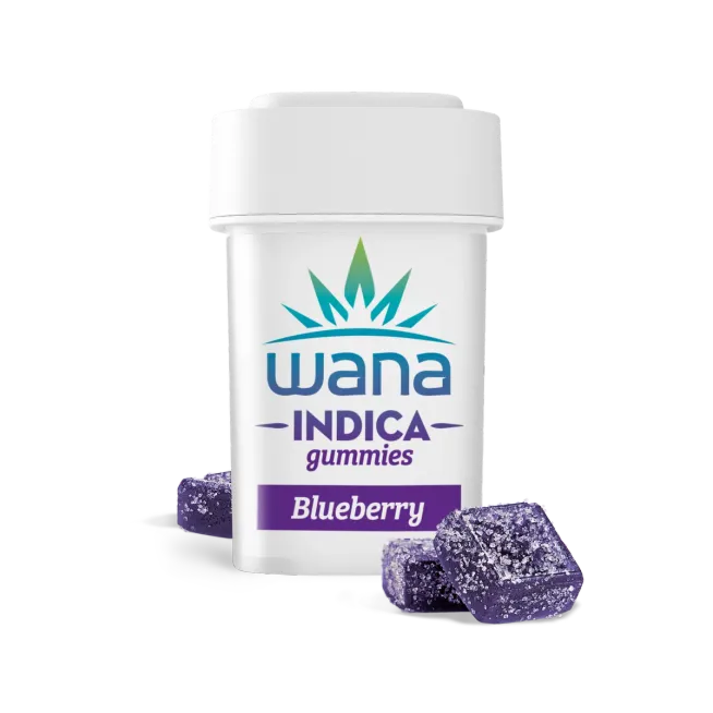 img_4094.webp BLUEBERRY (MED) // INDICA - Image 1