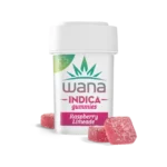 RASPBERRY LIMEADE (HIGH-DOSE MED) // INDICA