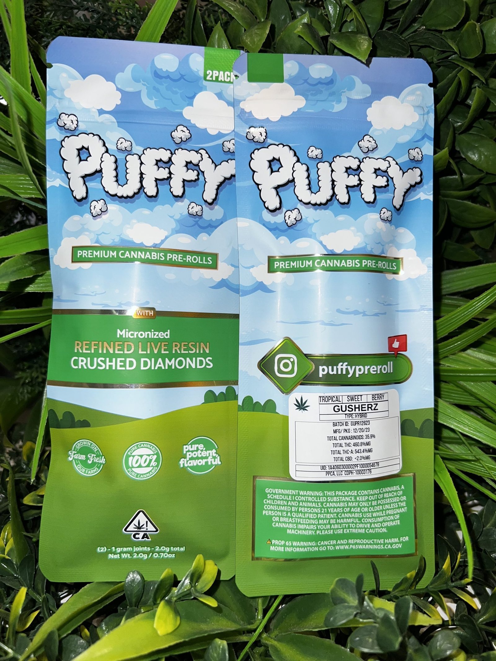 img_7865-scaled-1.jpg PUFFY- Live Resin/Crushed Diamond Infused 2pck Pre roll- GUSHERZ - Image 1