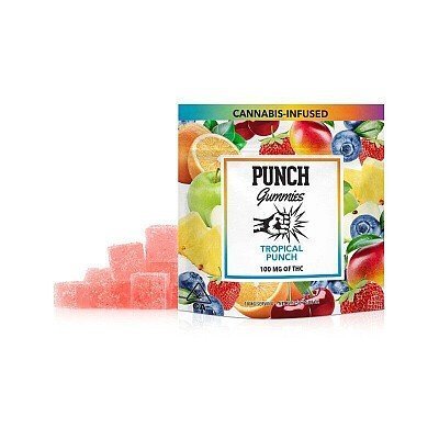 large.jpg PUNCH GUMMIES- TROPICAL PUNCH - Image 1