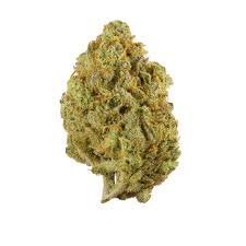 lemon-haze.jpeg Super Lemon Haze - Image 1