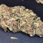 Doja Mind Fuck