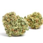 Zkittles Strain (Skittles Weed Strain)