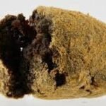 Moon Rock