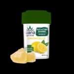 LIMONCELLO (MED) // HYBRID