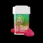 STRAWBERRY MARGARITA (Rec) // 1:1 CBD/THC