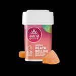 PEACH BELLINI (REC) // SATIVA