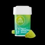 APPLETINI (MED) // HYBRID