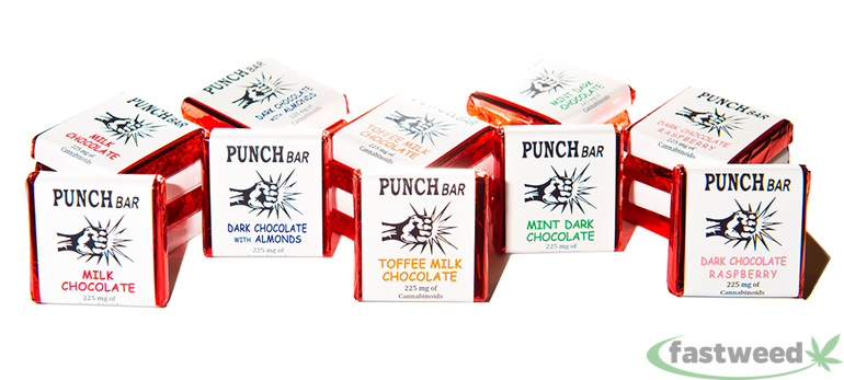 punch-bar-225-mg-thc_1-5.png PUNCH BAR- DARK CHOCOLATE RASPBERRY- 225MG - Image 1