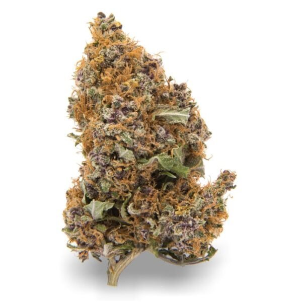 purple-haze-strain-600x600-1.jpeg Purple Haze - Image 1