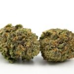 MOCHI- 3.5g