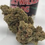 Skywalker OG Strain
