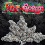 Jungle Boys | KUSH SORBET I- 3.5g Flower