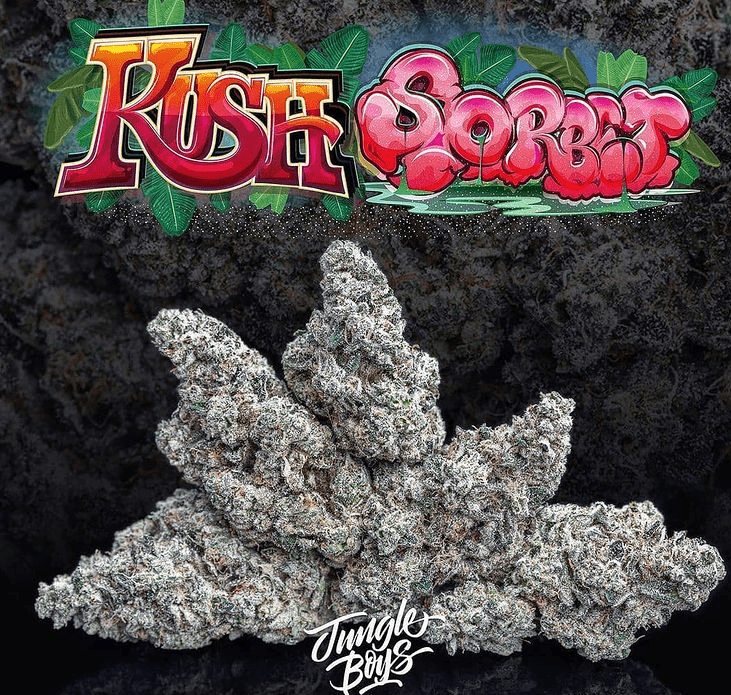sobert1.png Jungle Boys | KUSH SORBET I- 3.5g Flower - Image 1