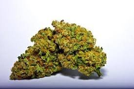 stoney-patch.jpeg Sour Patch Strain - Image 1